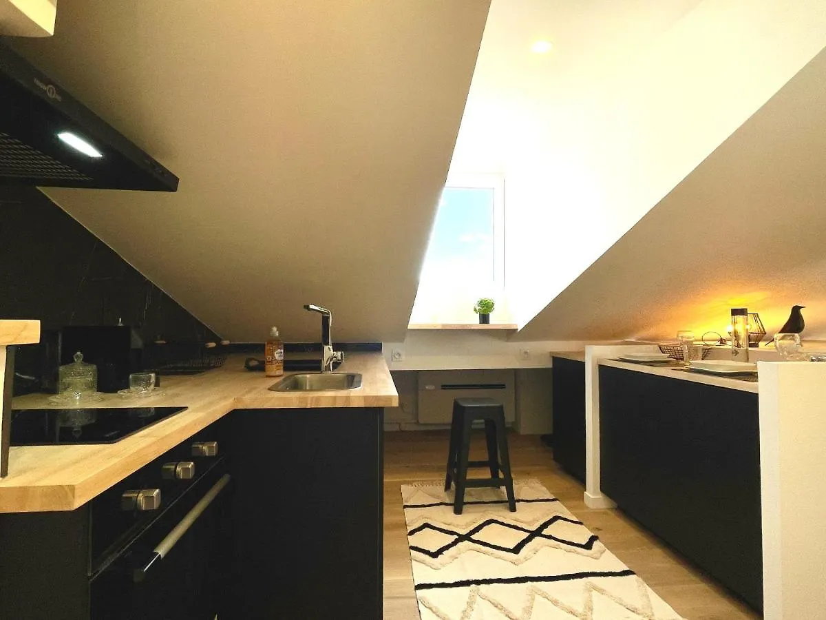 Studio Climatise Sous Les Toits A 100M De La Place Du Capitole Toulouse