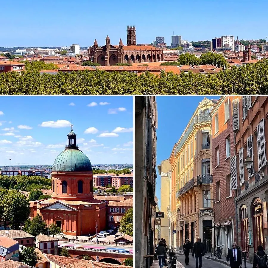 Studio Climatise Sous Les Toits A 100M De La Place Du Capitole Toulouse Apartment